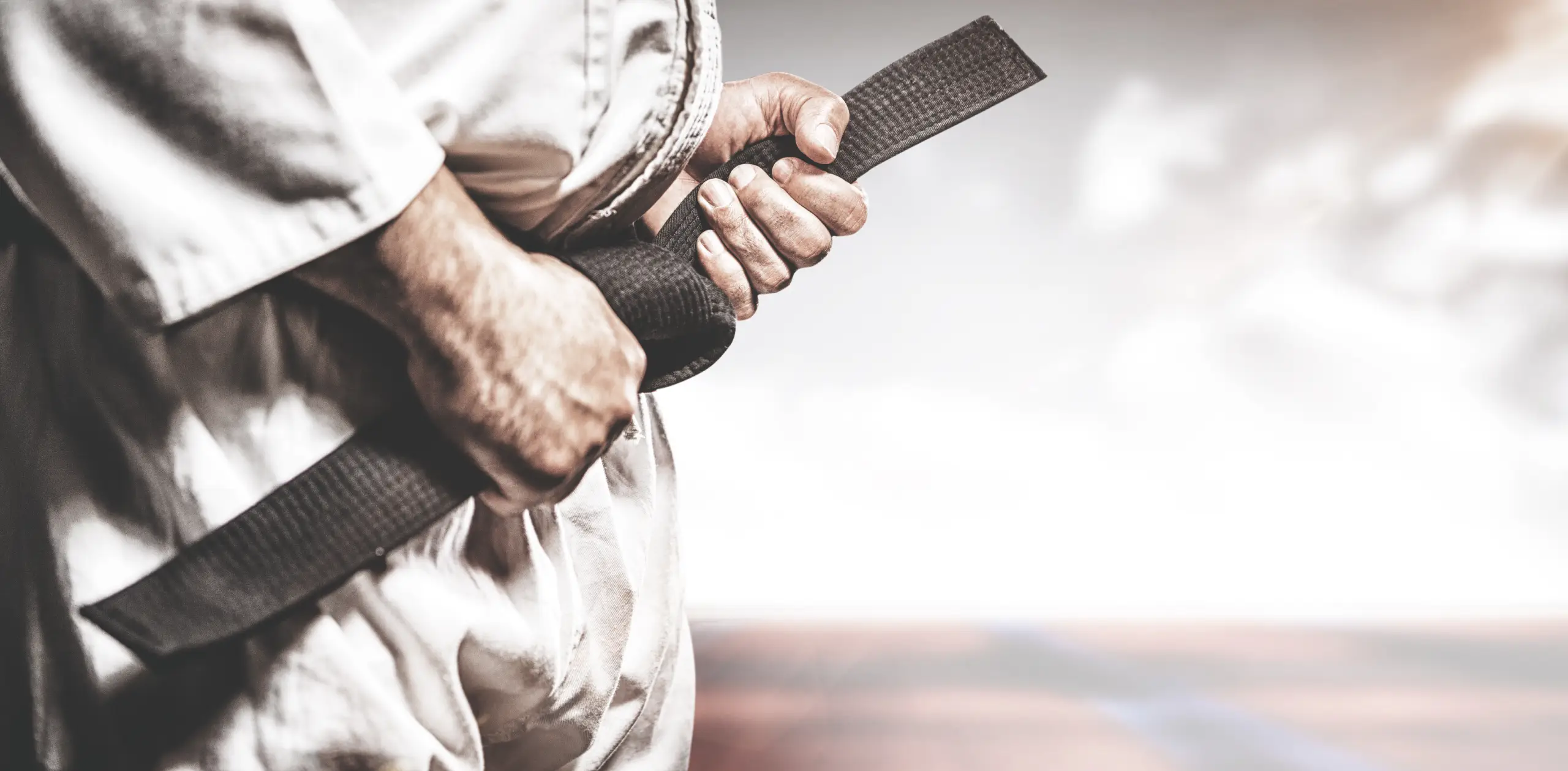 Center 6 HIntergrundbild HapKiDo